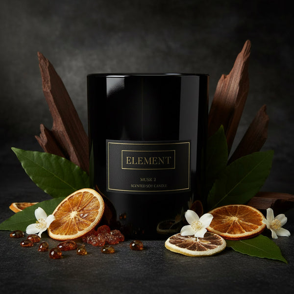 Musk 2 - Scented Soy Candles with notes of Amber, Citrus, Woods