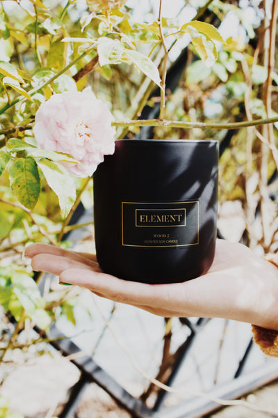 The palm of someones hand is holding a Wood 2 candle. The backdrop are roses on a trellis.